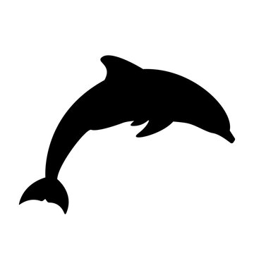 recommend clip art: Silhouette of a dolphin icon isolated on white background. vector logo of a sea mammal. black and white symbol of a dolphin.