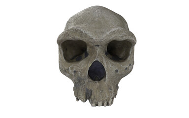 caveman skull with few tients on white background
