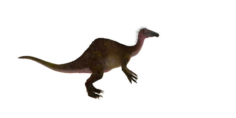 deinocheirus on white background
