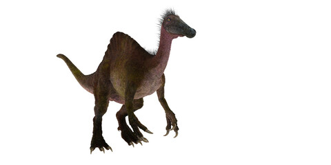 Fototapeta premium deinocheirus on white background