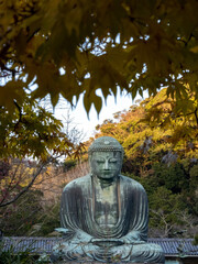 Great Buddha at Kotoku-in with fall foliage, Kamakura