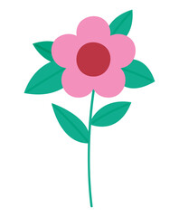 beautiful flower illustration