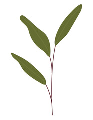 Fototapeta premium leaves branch design