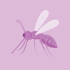 mosquito vector with purple color and purple background