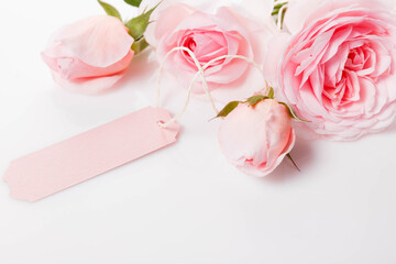 Delicate pink roses with a greeting card on a white background, wedding, mother's, Valentine's day