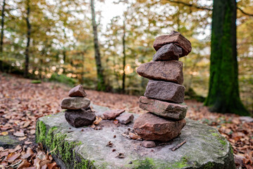 At the Luitpoltturm in the Palatinate Forest