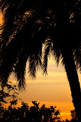 Fototapeta na wymiar Spectacular and colorful sunset in Murcia