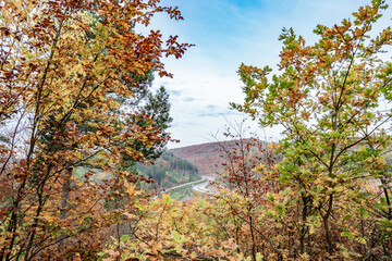 Autumnal view in the Palatinate Forest