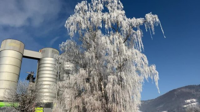 hoar frost on tree and district heating plant