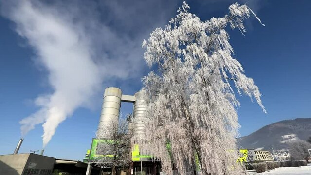 hoar frost on tree and district heating plant
