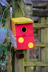 wooden bird house