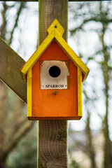 wooden bird house