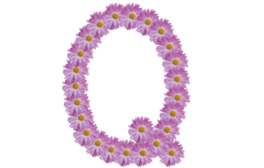Letter Q made with pink flower isolated on white background. Spring concept idea.
