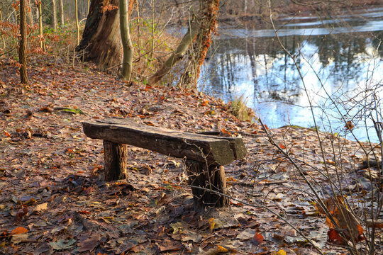 A wooden bench at the Mühlenteich (mill pond) at Dammsmühle Castle in winter, federal state of Brandenburg - Germany