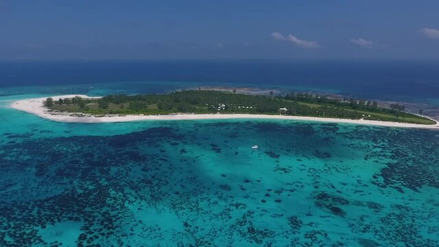 Bird Island Seychelles