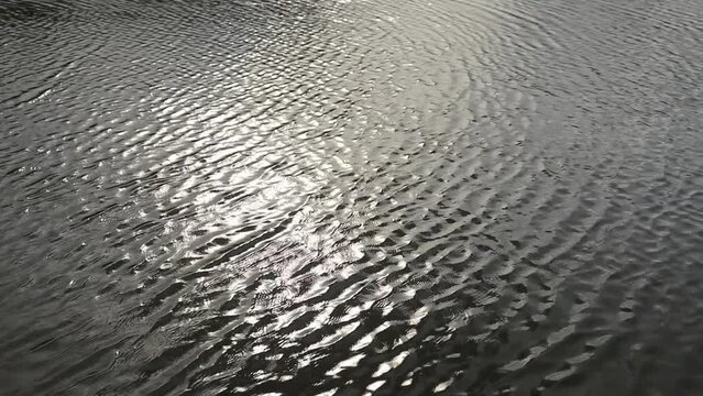 Reflection of sunlight and water waves in the fish pond. video Water texture 

