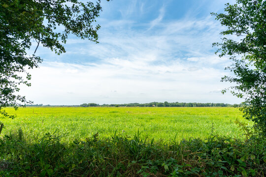 Vriew over countryside in Friesland (The Netherlands)