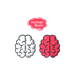Human brain illustration drawing cartoon doodle style. Brain line color icon hand drawn