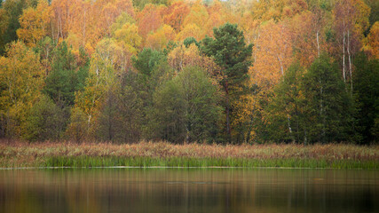 autumn landscape with lake