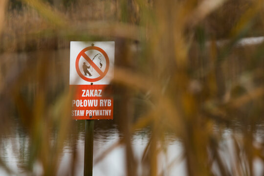 zakaz połowu ryb, 