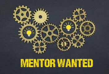 Mentor Wanted	
