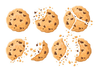 Vector realistic cartoon american cookies with chocolate chips. Bitten and broken american cookies of different size with crumbles. Pastry sweet food illustration