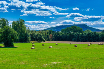 Rolls haystacks straw on field, harvesting wheat. Rural field with bales of hay. Landscape