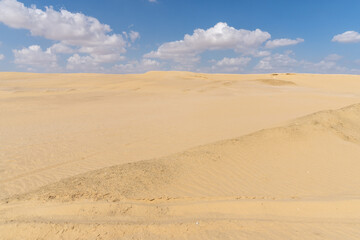 Fototapeta na wymiar Image of the Sahara desert in Egypt, with yellow sand, and dunes, on a sunny day with clouds