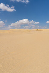 Obraz na płótnie Canvas Image of the Sahara desert in Egypt, with yellow sand, and dunes, on a sunny day with clouds