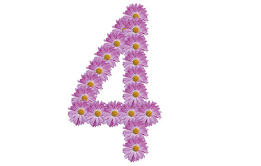 Number four made with pink flower isolated on white background. Spring concept idea.