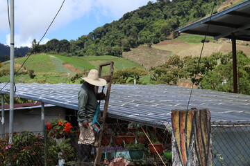 campesino reparando un tejado, Volcan Panama
