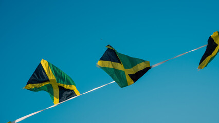 Jamaican flag on a rope in a tropical setting	
