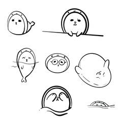 set of funny cute seal animal different position