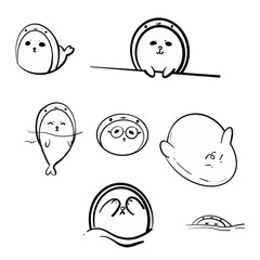 set of funny cute seal animal different position