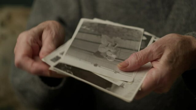 Black And White Photos In Old Senior Hands. Elderly female hands enjoy her memories watching old pictures made in 1986, close up.