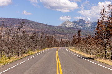 Fototapeta premium Road through wildfire burned RMNP