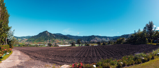 Panoramica Campo de cultivo con hermoso cielo azul en Volcan Chiriqui Panama.