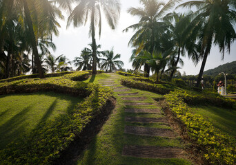 Obraz premium Chiang Mai Province, Royal Flora Ratchaphruek Park. Park landscape section and palm garden