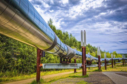 Trans-Alaska Pipeline, Interior Alaska in summertime; Fairbanks, Alaska, United States of America