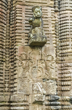 Frieze detail, Chitrakarini Temple, Lingaraja Temple Complex; Bhubaneswar, Odisha, Indi