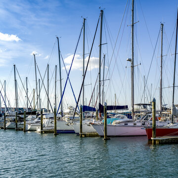 Sailboats moored in a row in a harbour; Bay of Plenty Region, North Island, New Zealand