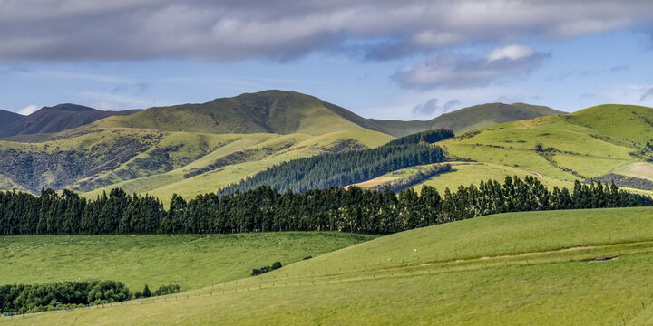 Rolling hills and grassy slopes at Longridge North; Southland Region, New Zealand