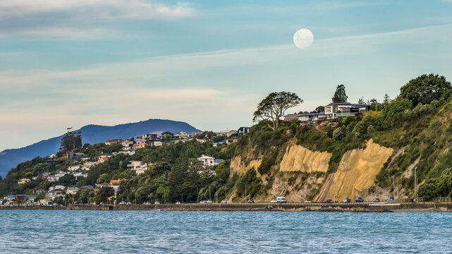 Houses on the side of the cliffs in Nelson, along the shoreline of Tasman Bay near Tahunanui Beach; Nelson Province, South Island, New Zealand