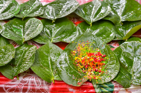 Peepal tree leaves displayed for religious offerings, Panchalingeshwar Temple; Balasore District, Odisha, India
