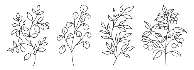 Decorative Branch Illustration Flower Line Art