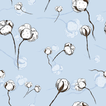 White cotton flowers - hand drawn seamless pattern on light blue color background