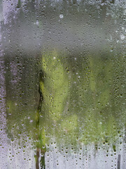 The misted and wet glass of a greenhause