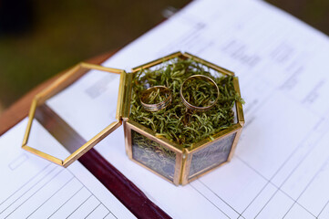 Two gold wedding rings in a glass box on green moss. Wedding concept, valentine's day