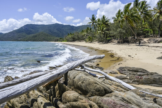 Thala Beach Nature Reserve; Oak Beach, Queensland, Australia