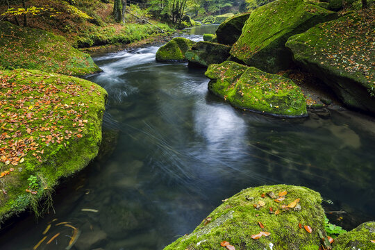 Tranquil River Kamnitz (Kamenice) in the Edmundsklamm with moss-covered sandstone cliffs; Usti nad Labem Region, Czech Republic